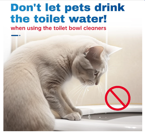 Toilet Cleaner Tablet